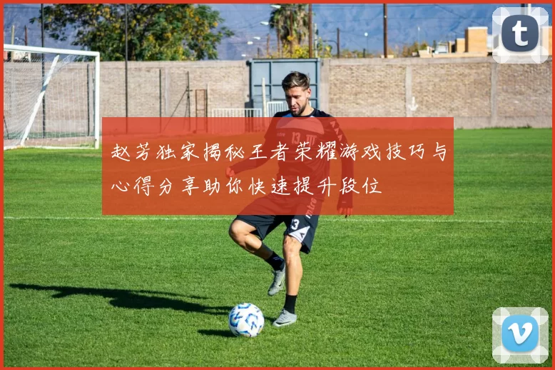 赵芳独家揭秘王者荣耀游戏技巧与心得分享助你快速提升段位