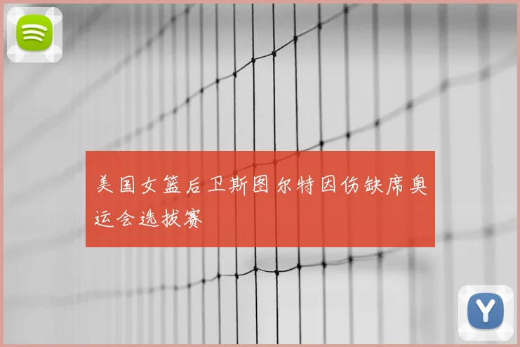 美国女篮后卫斯图尔特因伤缺席奥运会选拔赛