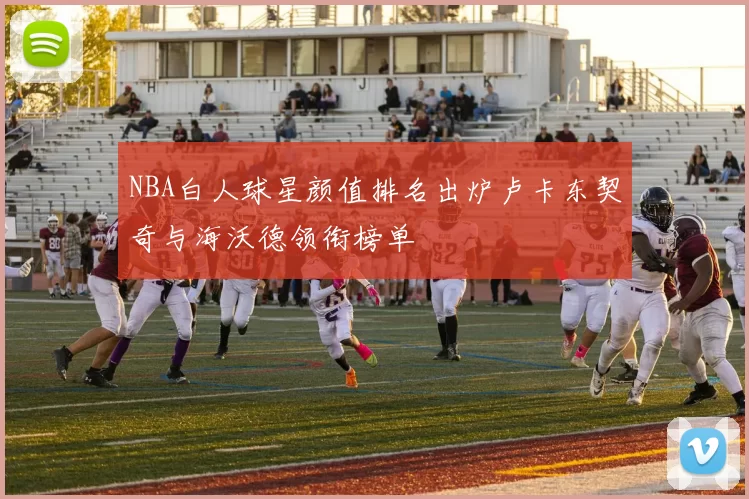 NBA白人球星颜值排名出炉卢卡东契奇与海沃德领衔榜单