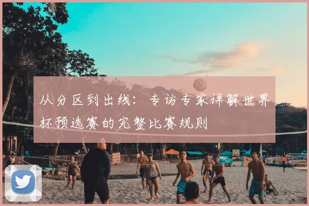 从分区到出线：专访专家详解世界杯预选赛的完整比赛规则
