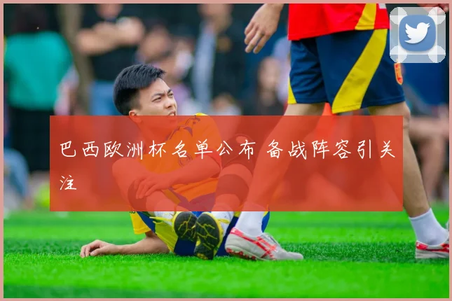 巴西欧洲杯名单公布 备战阵容引关注