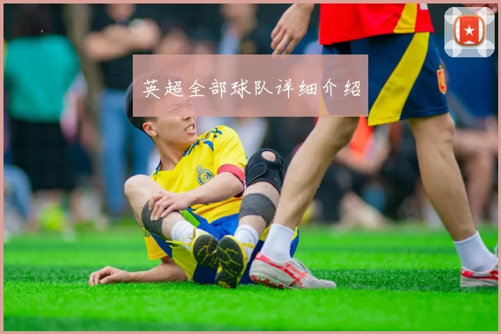 英超全部球队详细介绍