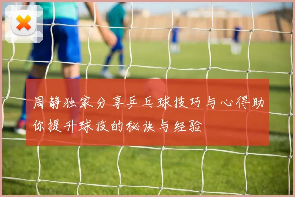 周静独家分享乒乓球技巧与心得助你提升球技的秘诀与经验