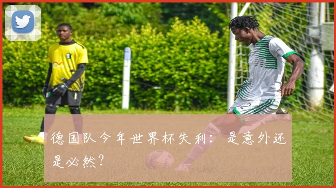 德国队今年世界杯失利:是意外还是必然?