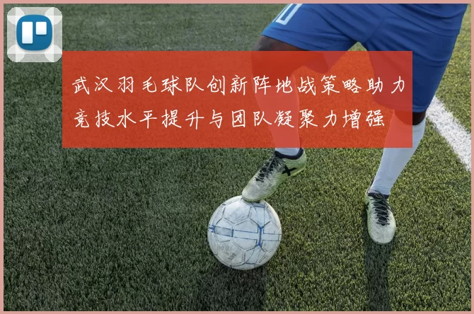 武汉羽毛球队创新阵地战策略助力竞技水平提升与团队凝聚力增强