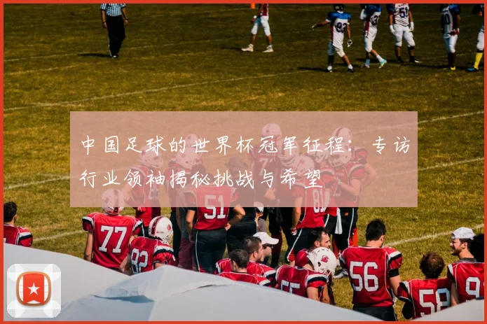 中国足球的世界杯冠军征程:专访行业领袖揭秘挑战与希望
