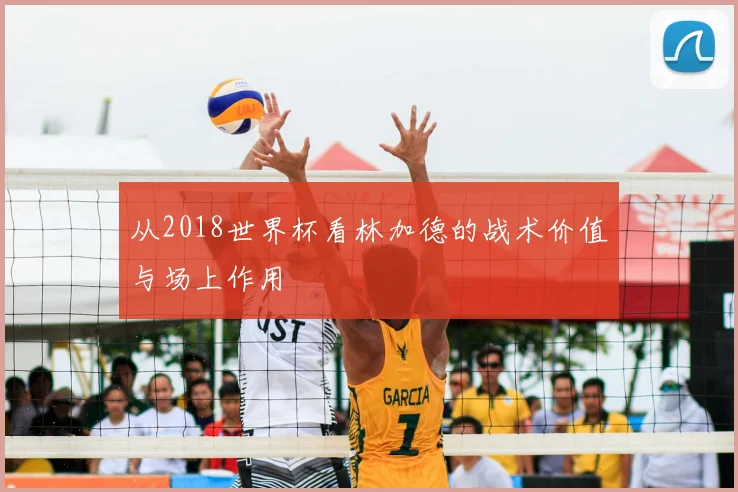 从2018世界杯看林加德的战术价值与场上作用