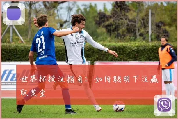 世界杯投注指南:如何聪明下注赢取奖金