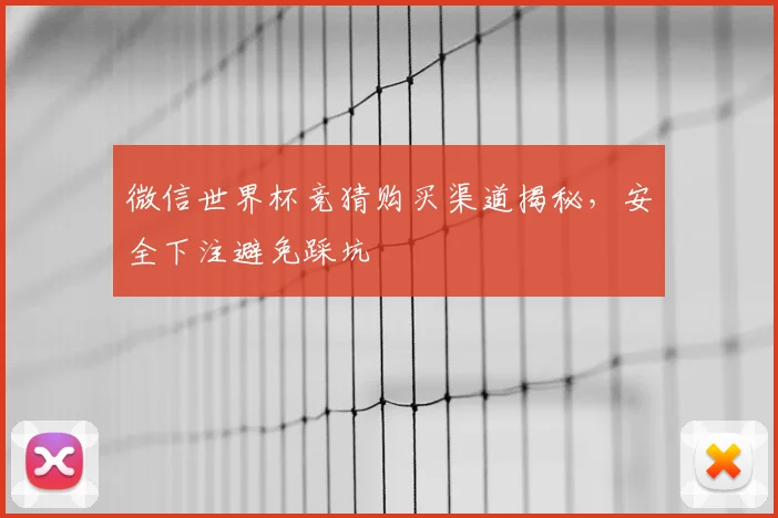 微信世界杯竞猜购买渠道揭秘,安全下注避免踩坑