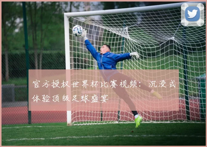 官方授权世界杯比赛视频：沉浸式体验顶级足球盛宴