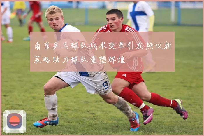 南京乒乓球队战术变革引发热议新策略助力球队重塑辉煌