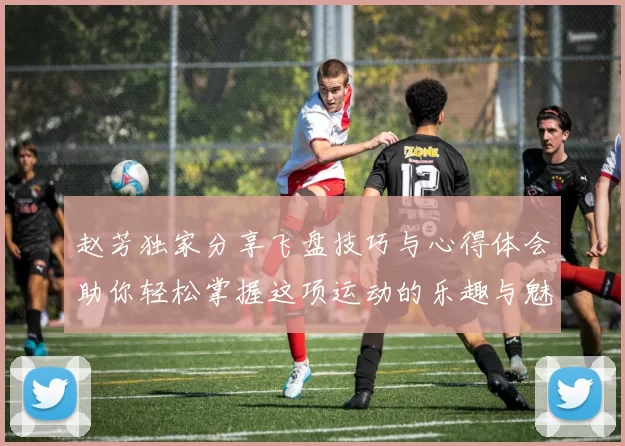赵芳独家分享飞盘技巧与心得体会助你轻松掌握这项运动的乐趣与魅力