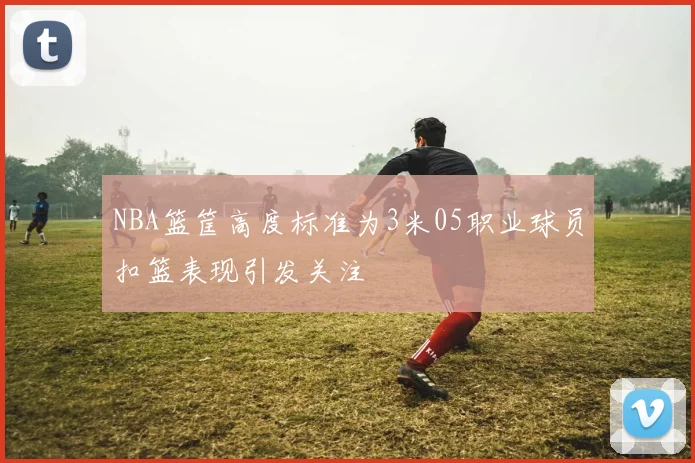 NBA篮筐高度标准为3米05职业球员扣篮表现引发关注